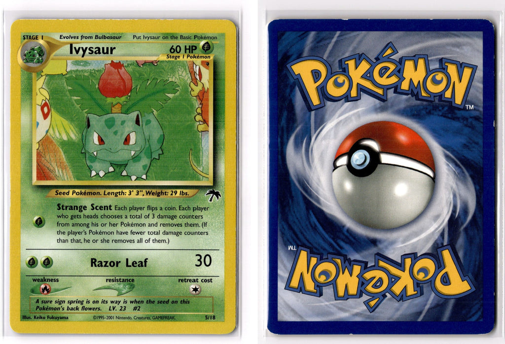 Front + Back scan