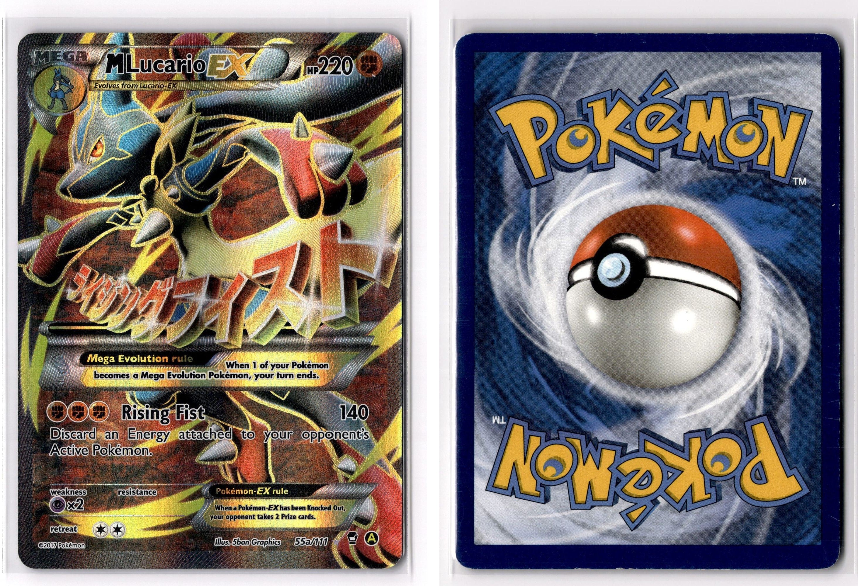 Front + Back scan