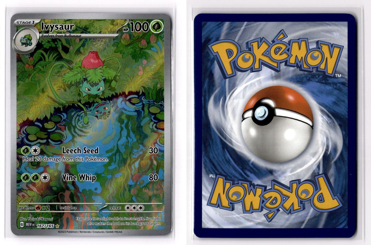 Front + Back scan