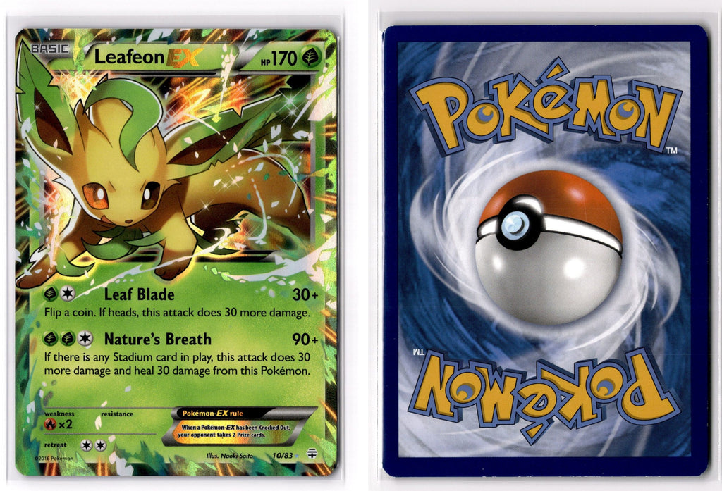 Front + Back scan