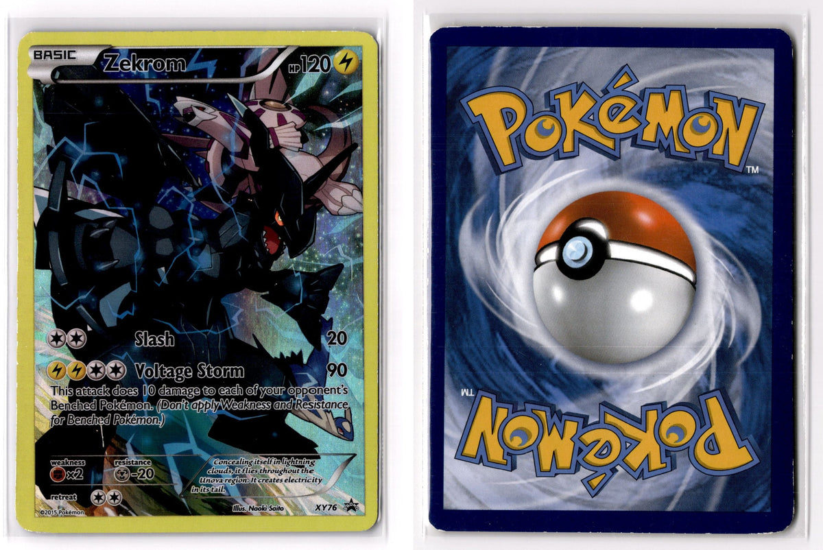 Front + Back scan