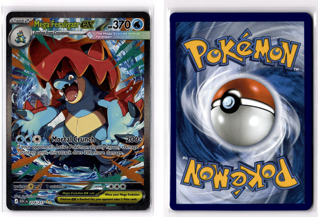 Front + Back scan