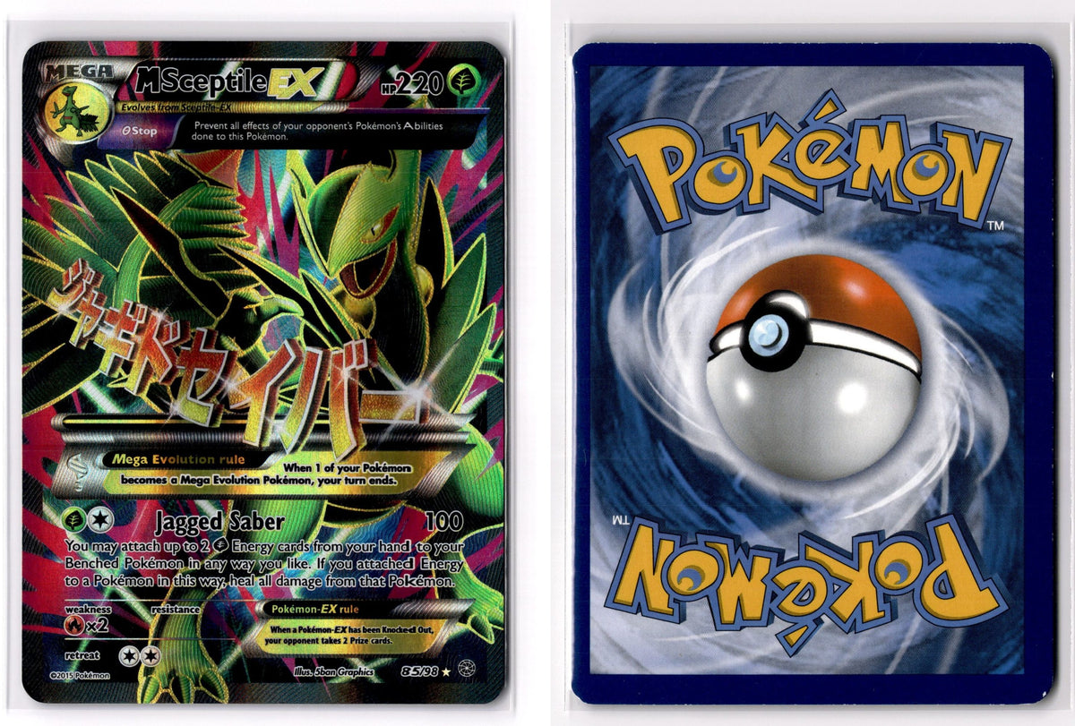 Front + Back scan
