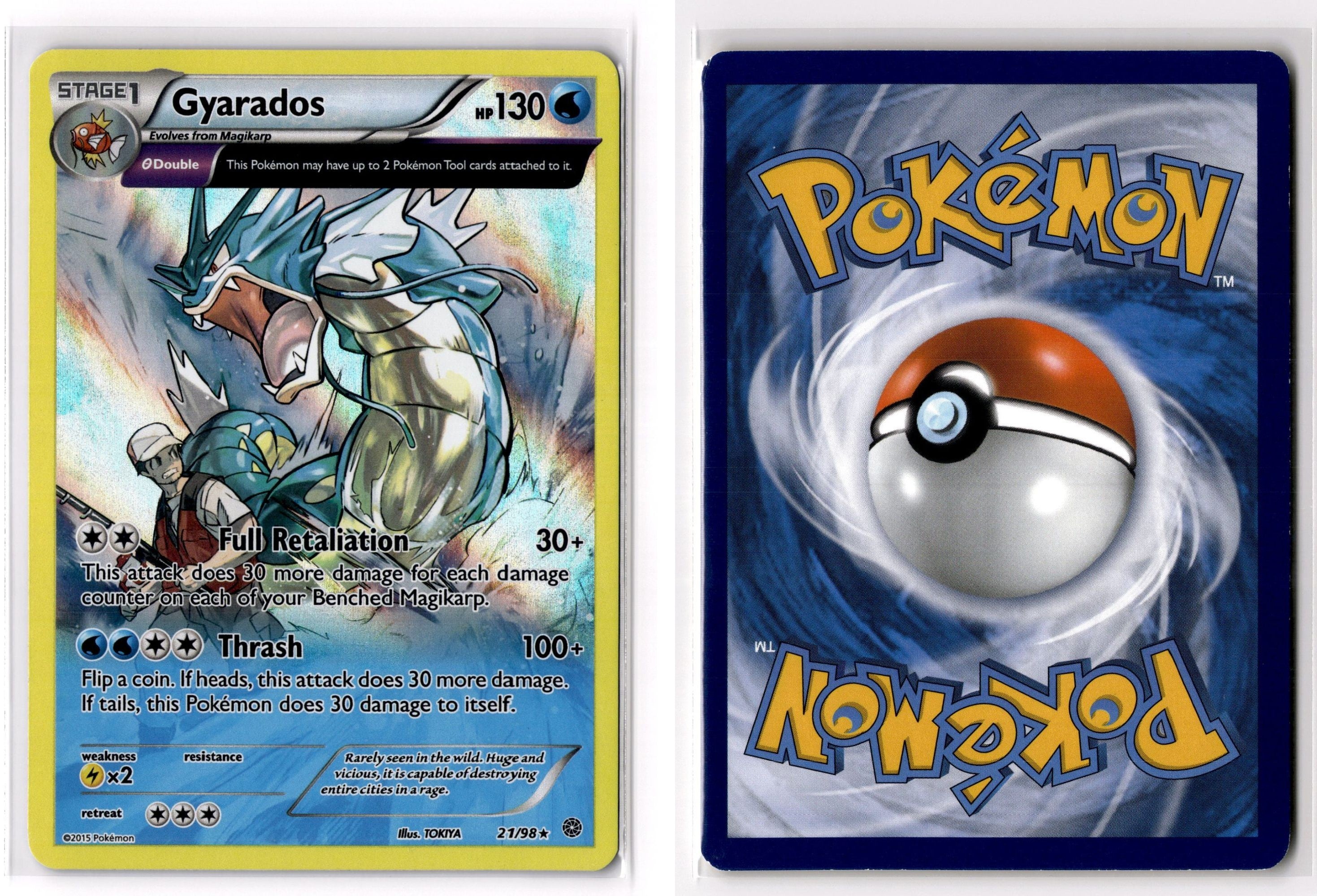 Front + Back scan