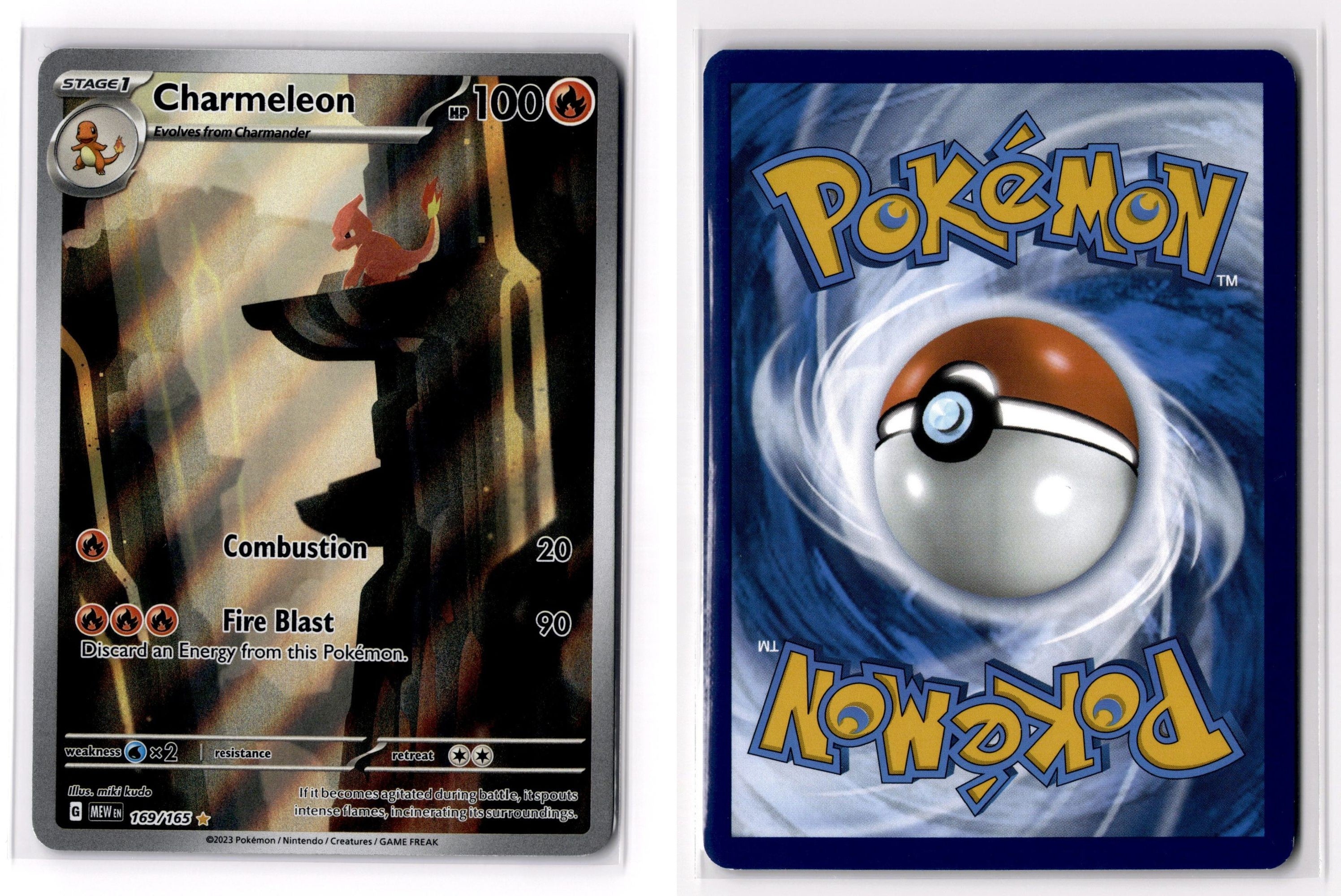 Front + Back scan