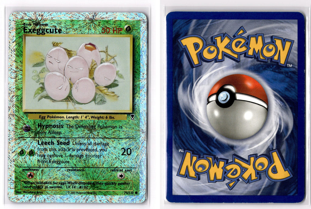 Front + Back scan