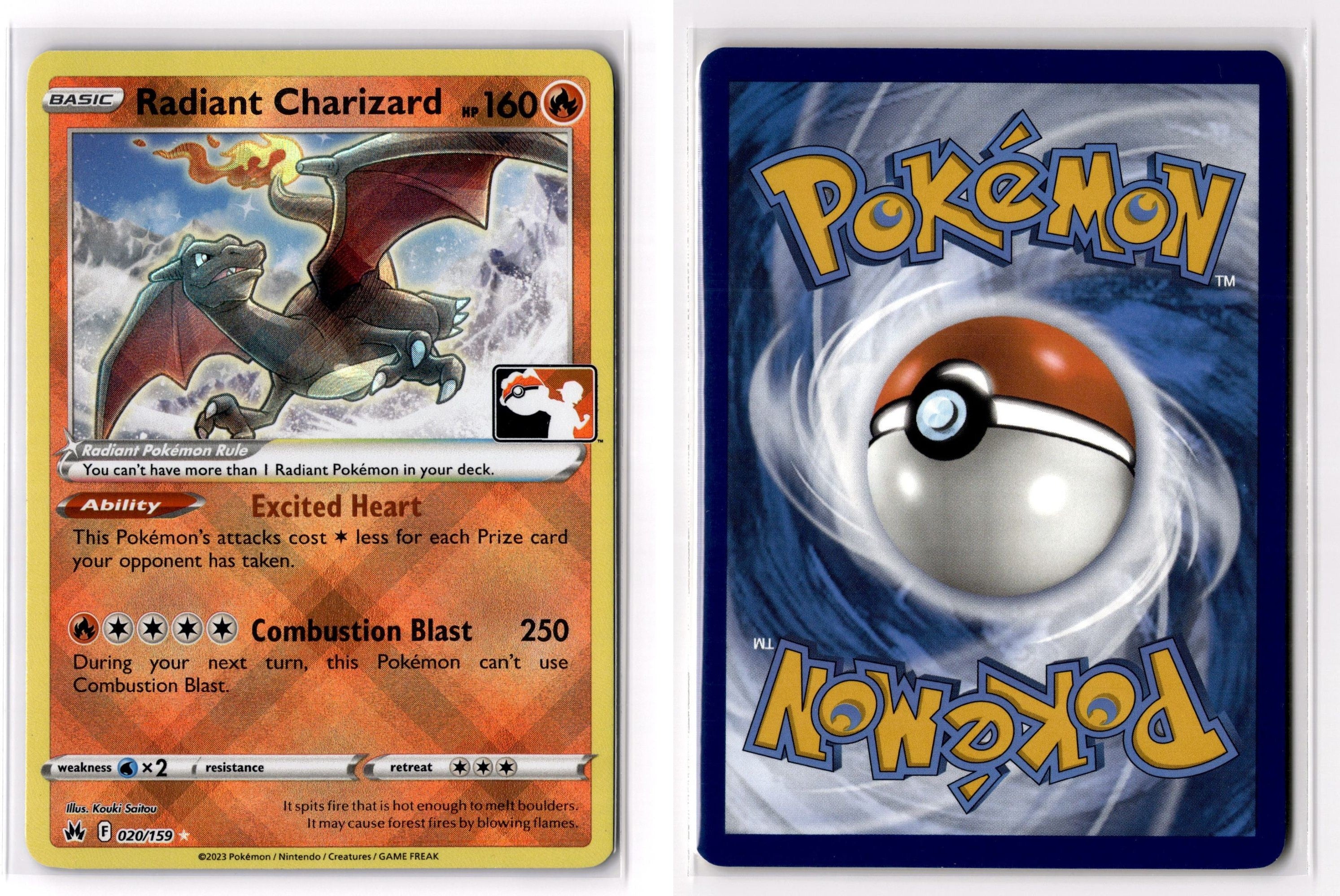 Front + Back scan