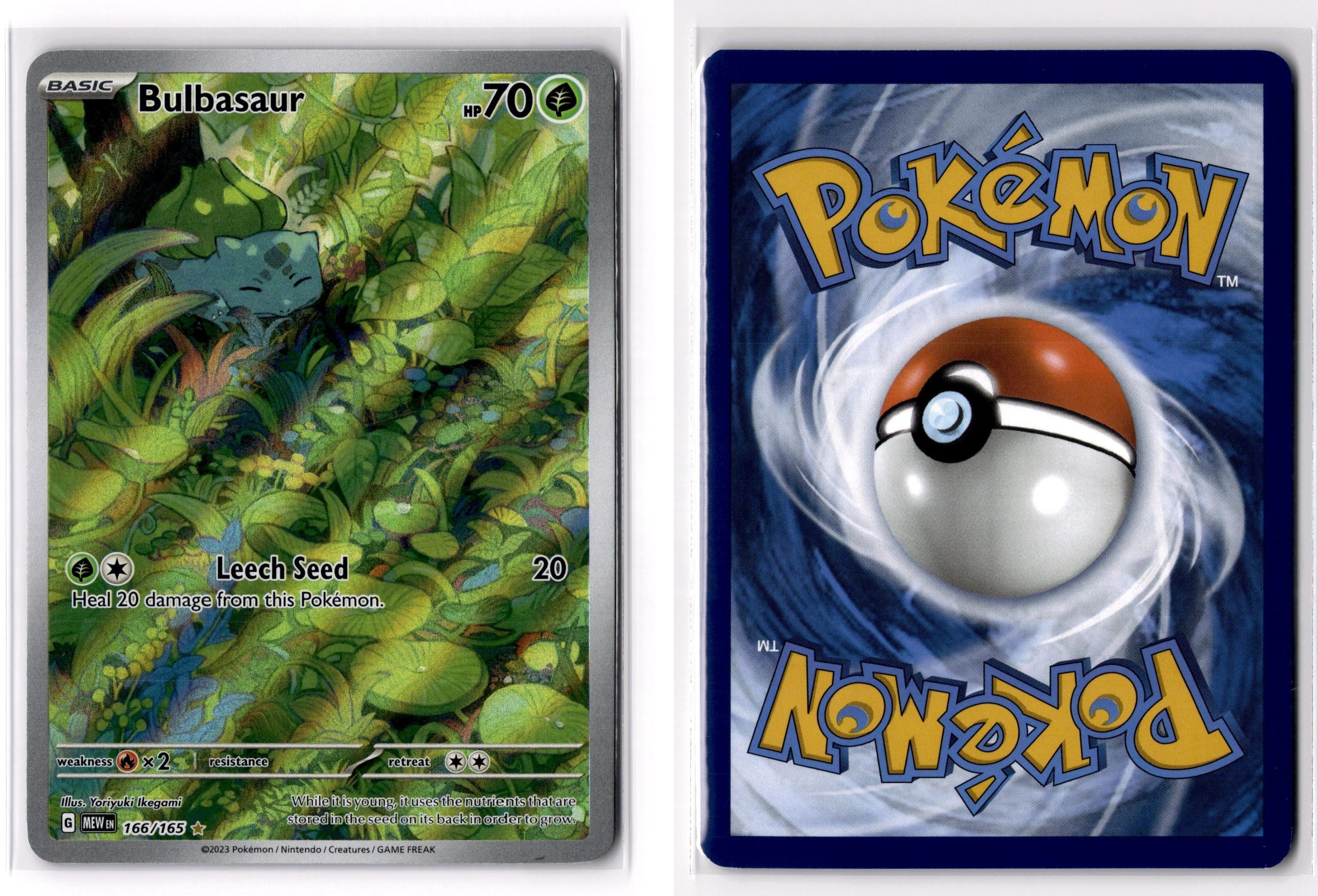 Front + Back scan