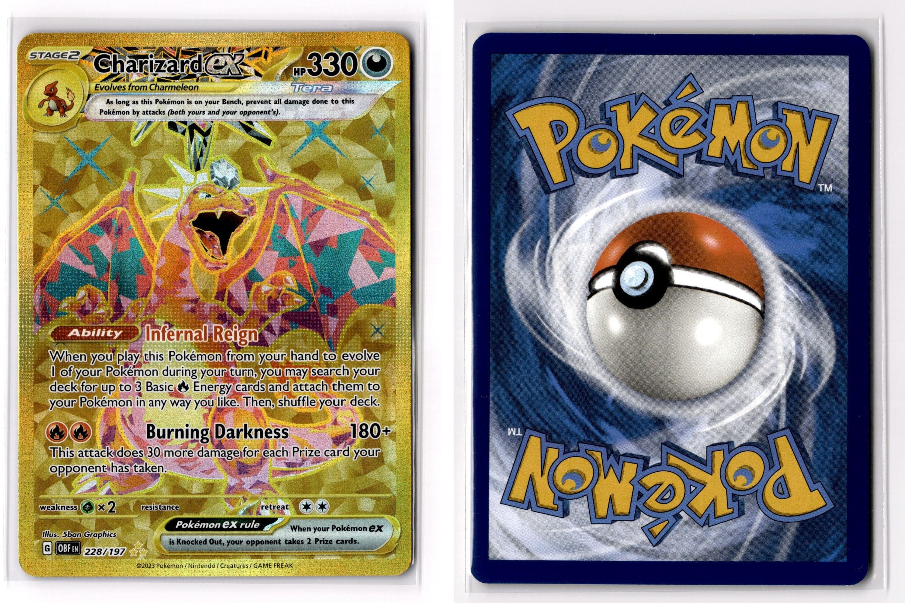 Front + Back scan