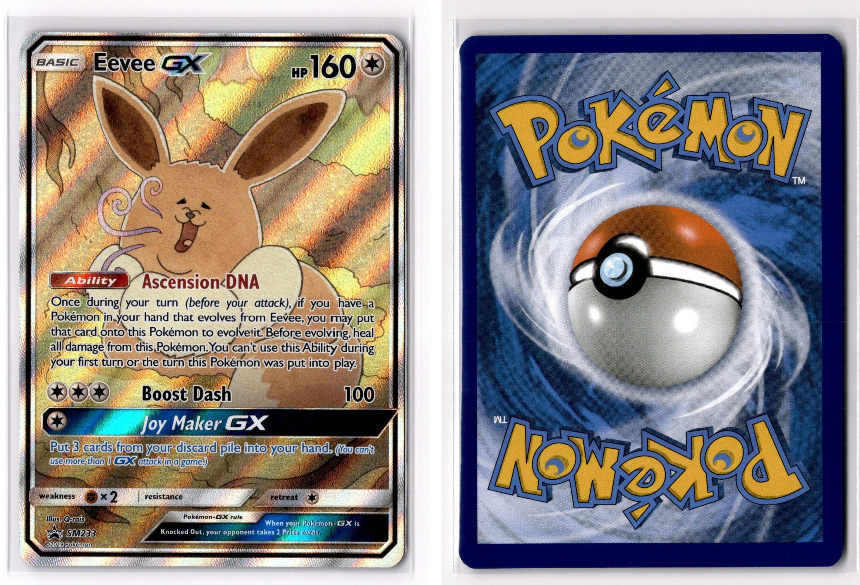 Front + Back scan