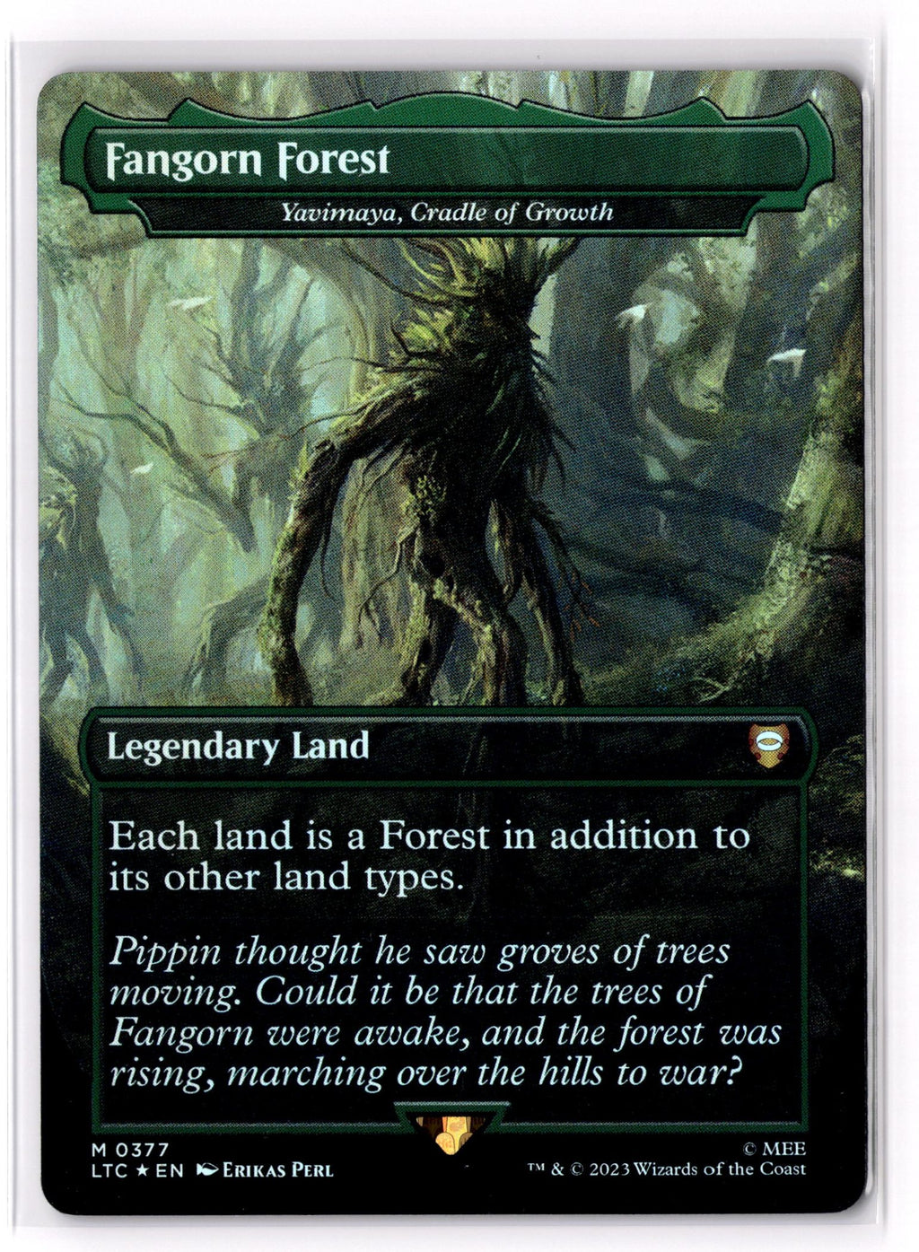 Fangorn Forest - Yavimaya, Cradle of Growth (Borderless)