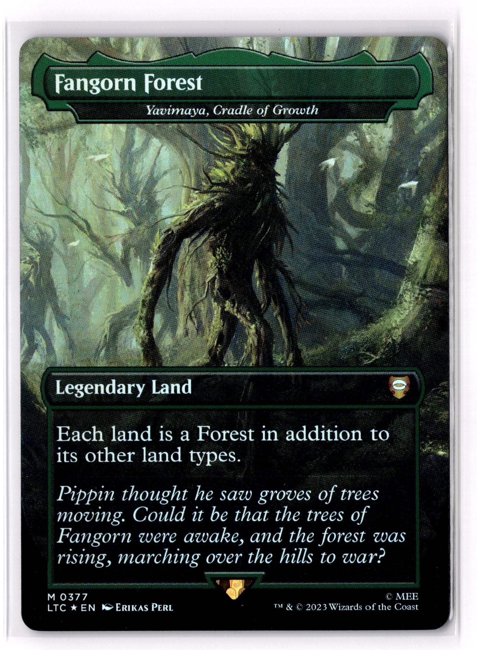 Fangorn Forest - Yavimaya, Cradle of Growth (Borderless)