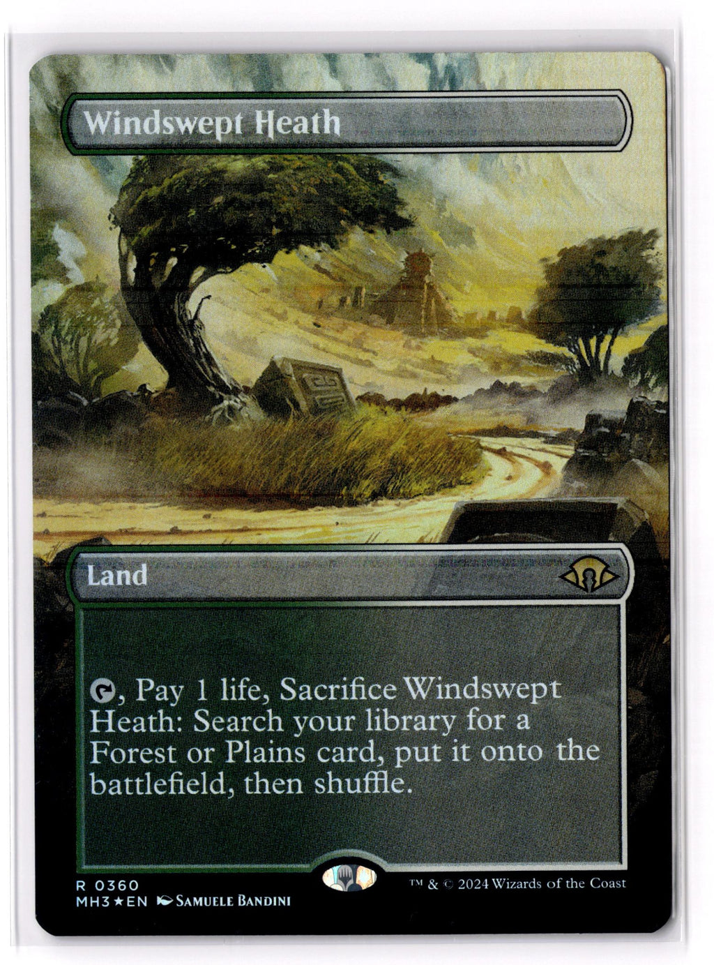 Windswept Heath (Borderless)