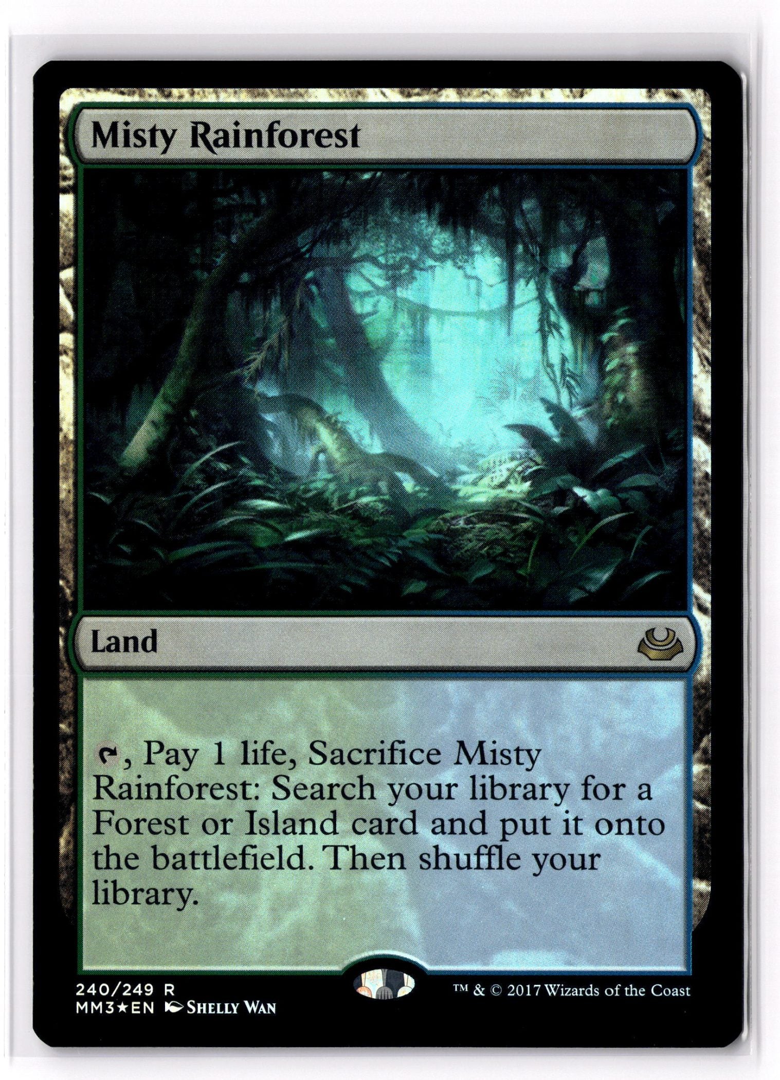 Misty Rainforest